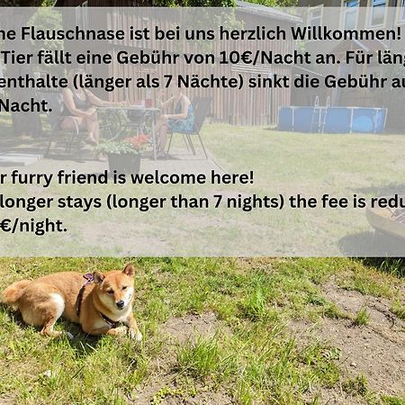 H1 - Urlaubsmagie - Pool & Terrasse Zum Entspannen Sebnitz Bagian luar foto