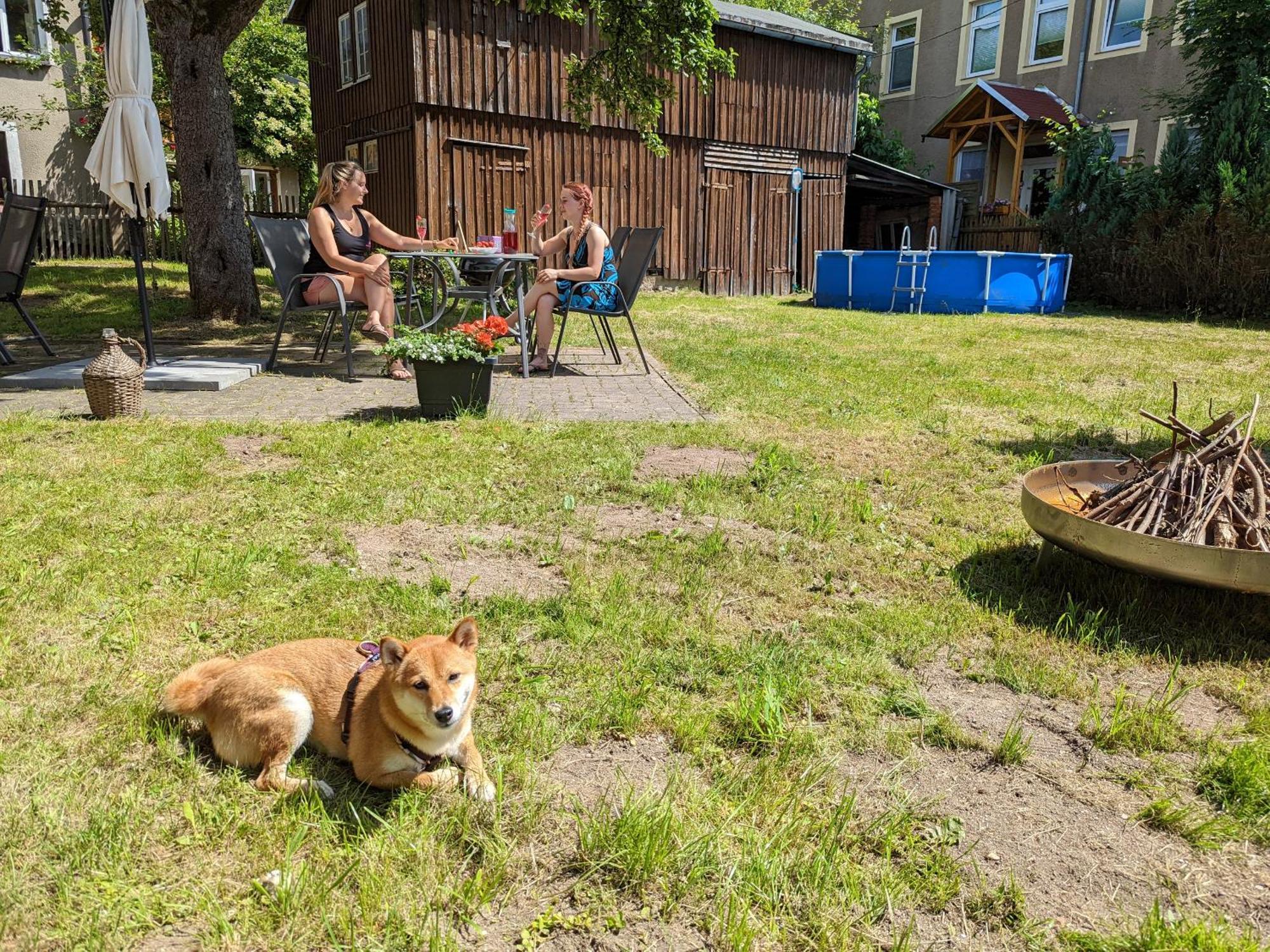 H1 - Urlaubsmagie - Pool & Terrasse Zum Entspannen Sebnitz Bagian luar foto