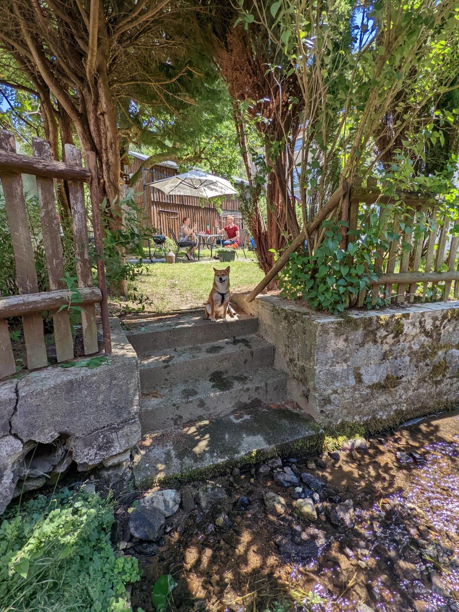 H1 - Urlaubsmagie - Pool & Terrasse Zum Entspannen Sebnitz Bagian luar foto